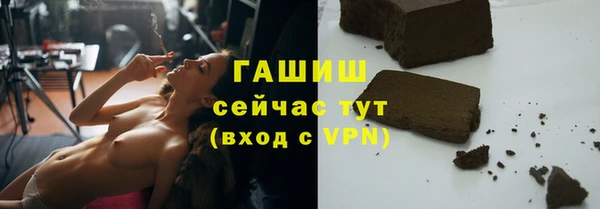 индика Пестово