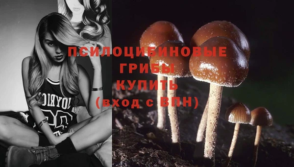 гидра Балабаново