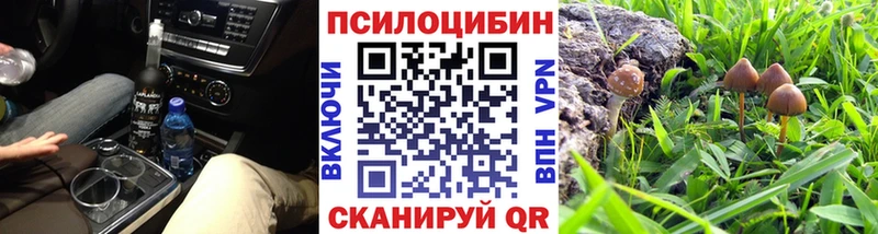 Галлюциногенные грибы ЛСД  цены   Нерюнгри 